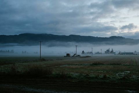 Willamette Valley agricultural landscape with Cascade Range in the distance, morning mist, Pacific Northwest