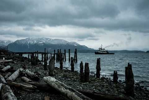 Washington state Puget Sound shoreline or eastern Washington agricultural plains with mountain backdrop